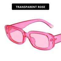 Small Frame Sunglasses Square New Sunglasses Trend Fashion Sunglasses Wholesale Nihaowholesale sku image 12