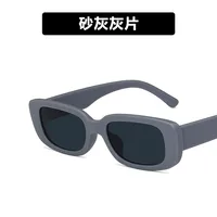 Small Frame Sunglasses Square New Sunglasses Trend Fashion Sunglasses Wholesale Nihaowholesale sku image 15