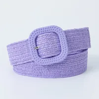 Sweet Simple Style Solid Color Pp Grass Plastic Women's Woven Belts sku image 5