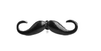 Cartoon Style Animal Alloy Enamel Women's Brooches sku image 3