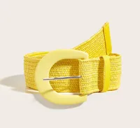 Original Design Solid Color Pp Grass Pu Leather Women's Woven Belts main image 3
