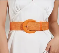 Original Design Solid Color Pp Grass Pu Leather Women's Woven Belts sku image 2