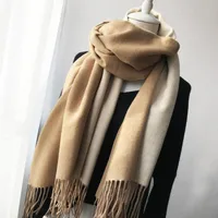 Women's Simple Style Color Block Imitation Cashmere Scarf main image 2