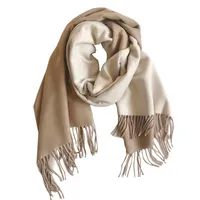 Women's Simple Style Color Block Imitation Cashmere Scarf main image 3