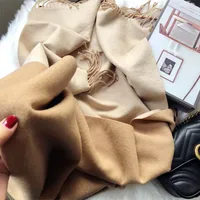 Women's Simple Style Color Block Imitation Cashmere Scarf main image 4