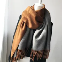 Women's Simple Style Color Block Imitation Cashmere Scarf sku image 1