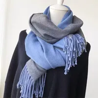 Women's Simple Style Color Block Imitation Cashmere Scarf sku image 4