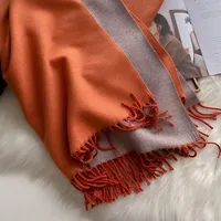 Women's Simple Style Color Block Imitation Cashmere Scarf sku image 6