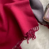 Women's Simple Style Color Block Imitation Cashmere Scarf sku image 9