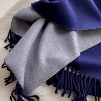 Women's Simple Style Color Block Imitation Cashmere Scarf sku image 13