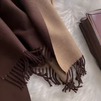Women's Simple Style Color Block Imitation Cashmere Scarf sku image 11