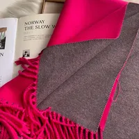 Women's Simple Style Color Block Imitation Cashmere Scarf sku image 10