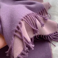 Women's Simple Style Color Block Imitation Cashmere Scarf sku image 14
