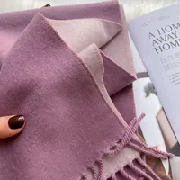Women's Simple Style Color Block Imitation Cashmere Scarf sku image 16