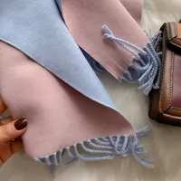 Women's Simple Style Color Block Imitation Cashmere Scarf sku image 15