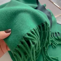 Women's Simple Style Color Block Imitation Cashmere Scarf sku image 20