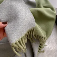 Women's Simple Style Color Block Imitation Cashmere Scarf sku image 19
