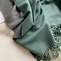 Women's Simple Style Color Block Imitation Cashmere Scarf sku image 21