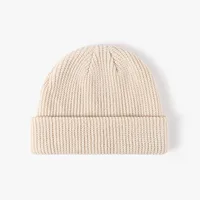Unisex Simple Style Solid Color Crimping Wool Cap sku image 7
