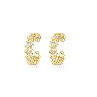 1 Pair Simple Style Solid Color Plating Inlay Copper Zircon Gold Plated Drop Earrings Ear Studs main image 4