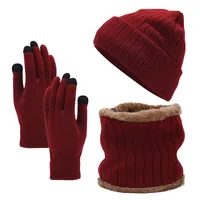 European And American Men's Fleece-lined Knitted Hat Scarf Gloves Three-piece Set Cold-proof Thickened Windproof Riding Warm Suit For Women main image 5