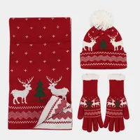 Women's Elegant Basic Simple Style Printing Acrylic Scarf Hat Gloves 3 Pieces Set main image 4