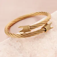 Simple Style Crown Titanium Steel Bangle main image 4