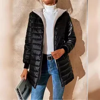 Women's Streetwear Color Block Pocket Zipper Coat Cotton Clothes Vest main image 1