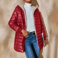 Women's Streetwear Color Block Pocket Zipper Coat Cotton Clothes Vest main image 3