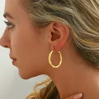 1 Pair Casual Elegant Classic Style Irregular 201 Stainless Steel Earrings main image 5