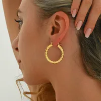 1 Pair Casual Elegant Classic Style Irregular 201 Stainless Steel Earrings main image 4