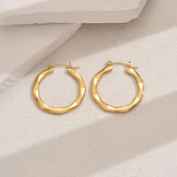 1 Pair Casual Elegant Classic Style Irregular 201 Stainless Steel Earrings main image 10