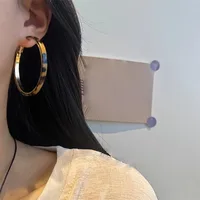 1 Pair Vintage Style Simple Style Leopard Pu Leather Iron Earrings main image 4