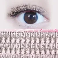 0.1 Natural Single Cluster Feather Chicken Claw Hair Dense Hot Melt Grafting Segmented 10p Simulation False Eyelashes main image 2