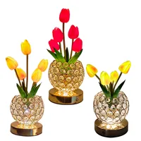 Modern Style Simple Style Solid Color Crystal Indoor Party Night Lights main image 5