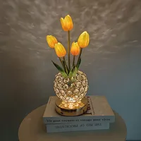 Modern Style Simple Style Solid Color Crystal Indoor Party Night Lights sku image 2