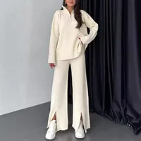 Casual Daily Women's Streetwear Solid Color Spandex Polyester Zipper Pants Sets Pants Sets main image 1