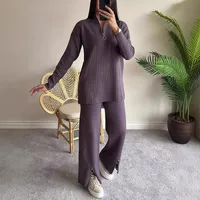 Casual Daily Women's Streetwear Solid Color Spandex Polyester Zipper Pants Sets Pants Sets main image 3