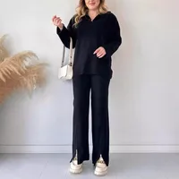 Casual Daily Women's Streetwear Solid Color Spandex Polyester Zipper Pants Sets Pants Sets main image 4