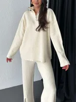 Casual Daily Women's Streetwear Solid Color Spandex Polyester Zipper Pants Sets Pants Sets sku image 4