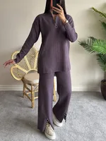 Casual Daily Women's Streetwear Solid Color Spandex Polyester Zipper Pants Sets Pants Sets sku image 22