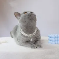 Elegant Simple Style Imitation Pearl Alloy Heart Shape Rose Pet Collar main image 1