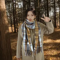 Women's Casual Simple Style Color Block Imitation Cashmere Tassel Scarf sku image 5