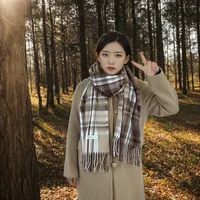 Women's Casual Simple Style Color Block Imitation Cashmere Tassel Scarf sku image 1