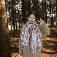 Women's Casual Simple Style Color Block Imitation Cashmere Tassel Scarf sku image 8