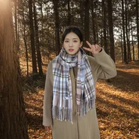 Women's Casual Simple Style Color Block Imitation Cashmere Tassel Scarf sku image 10