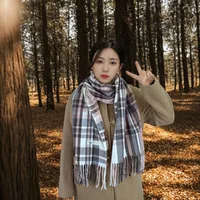 Women's Casual Simple Style Color Block Imitation Cashmere Tassel Scarf sku image 4