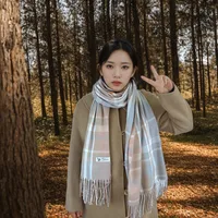 Women's Casual Simple Style Color Block Imitation Cashmere Tassel Scarf sku image 11