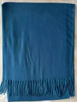 Cashmere Solid Color Scarf Women's Autumn And Winter 220g Explosions Barbed Hair  Padded Travel Warm Tassel  Shawl sku image 19