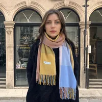 Women's Casual Simple Style Color Block Imitation Cashmere Tassel Scarf sku image 12